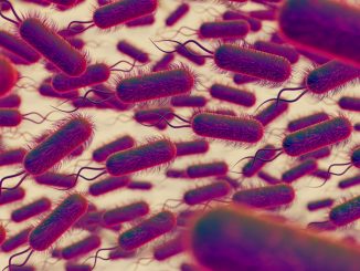 Infecția mixtă bacteriană