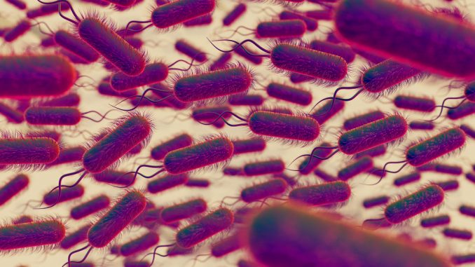 Infecția mixtă bacteriană